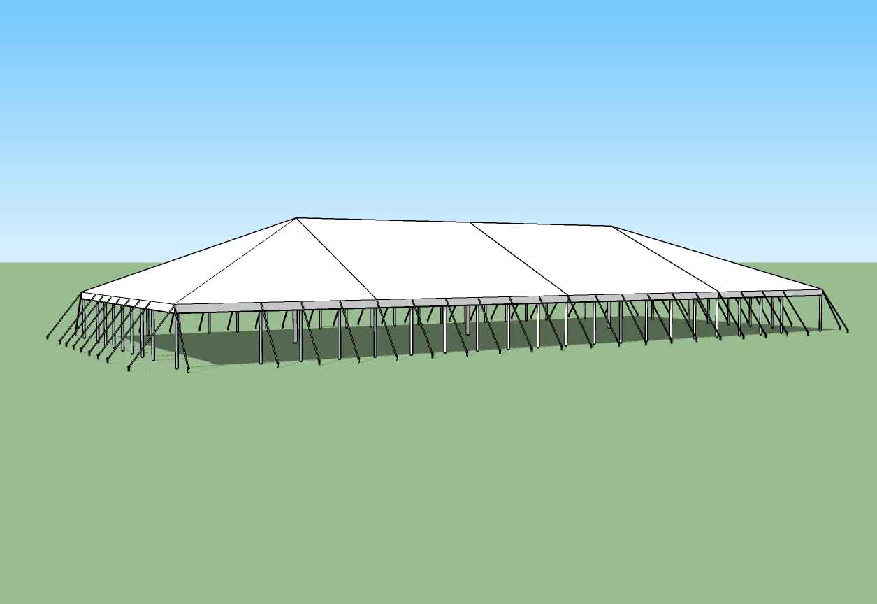 50x110 Pole Type Party tent